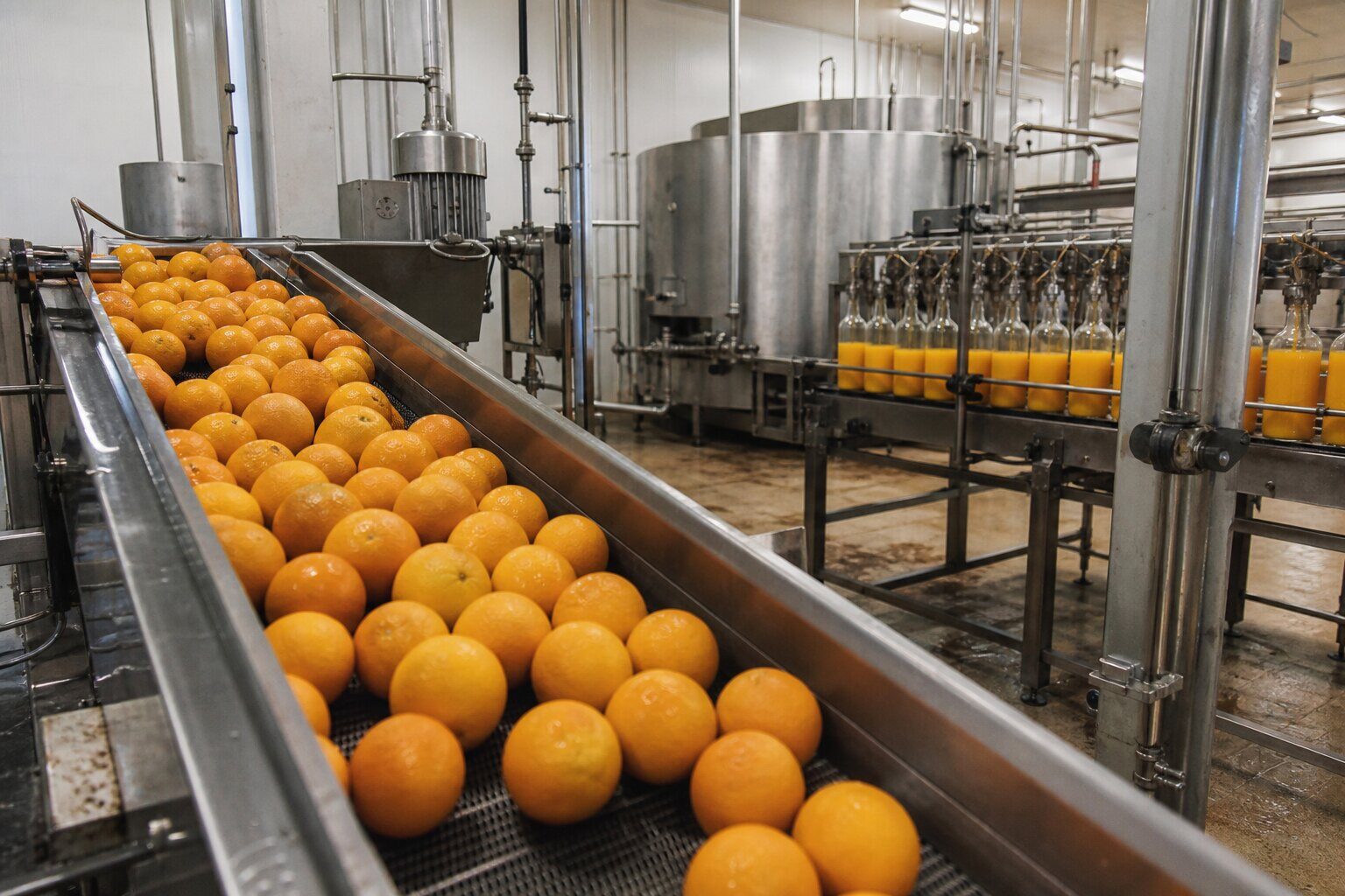 Agro-processing and value addition
